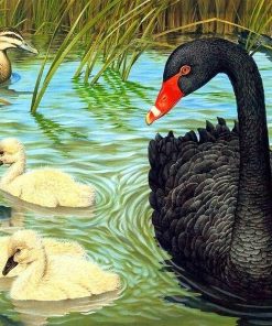 Black Duck Paint By Numbers