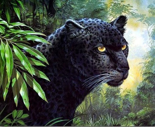 Black Leopard Paint By Numbers