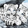 Blue Eyed Snow Leopard Cubs Paint By Numbers