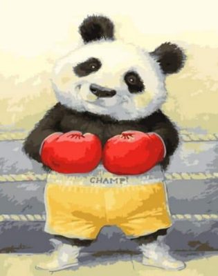 Boxing Panda Paint By Numbers