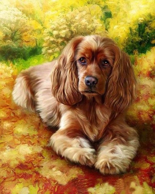 Brown Dog Paint By Numbers