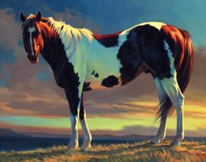 Brown and White Horse Paint By Numbers