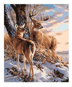 Buck And Doe Paint By Numbers