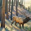 Bull Elk Paint By Numbers