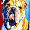 Bulldog Animal Paint By Numbers