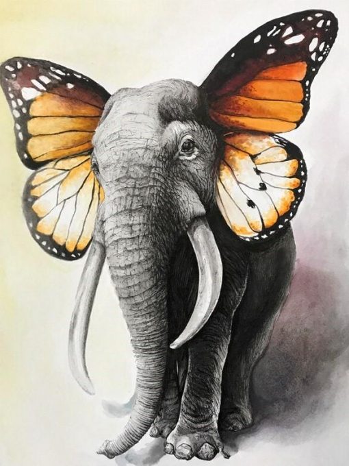 Butterfly Elephant Paint By Numbers