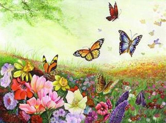 Butterfly Landscape Paint By Numbers