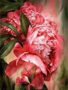 Butterfly Peony Paint By Numbers