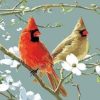 Cardinals Bird Paint By Numbers