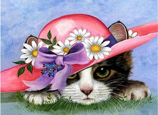 Cat With Flower Hat Paint By Numbers