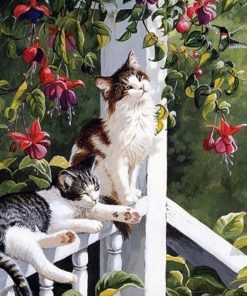 Cats Resting Paint By Numbers
