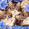 Cats With Flowers Paint By Numbers