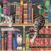 Cats on Bookshelves Paint By Numbers