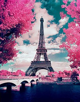 Cherry Blossoms in Paris Paint By Numbers