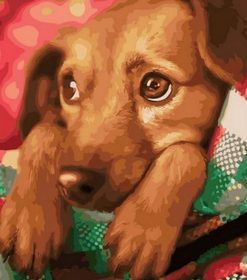 Christmas Dog Animal Paint By Numbers