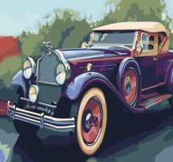 Classic Car Paint By Numbers