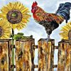 Cock With Sunflower Paint By Numbers