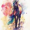 Colored Horse Paint By Numbers