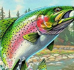 Colored Salmon Paint By Numbers