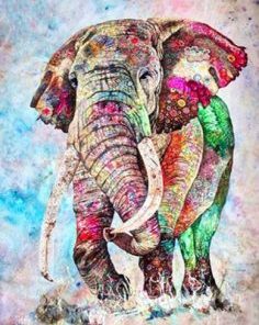 Colored Splash Elephant Paint By Numbers