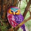 Colorful Beautiful Owl Paint By Numbers