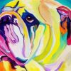 Colorful Bulldog Art Paint By Numbers