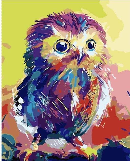 Colorful Chick Owl Paint By Numbers