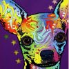 Colorful Chihuahua Dog Paint By Numbers