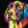 Colorful Dog Paint By Numbers
