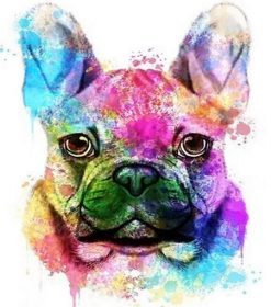 Colorful French Bulldog Paint By Numbers