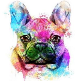 Colorful French Bulldog Paint By Numbers