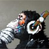 Colorful Monkey Animals Paint By Numbers