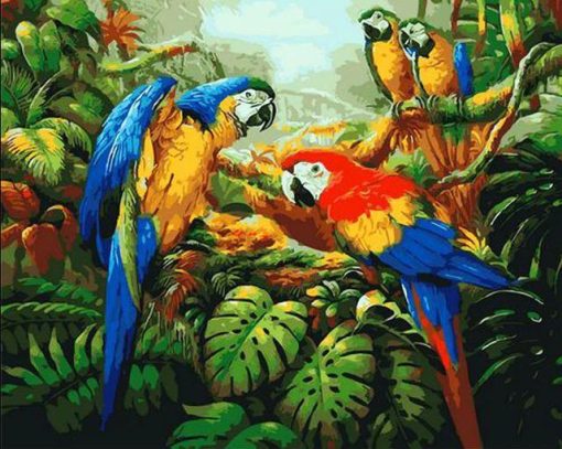 Colorful Parrots Birds Paint By Numbers