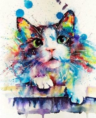 Colorful Splash Cat Paint By Numbers