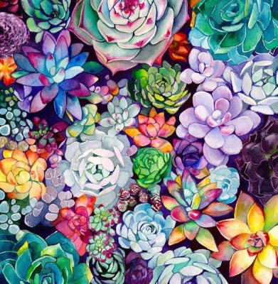 Colorful Succulent Garden Paint By Numbers