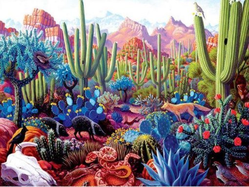 Colorful Succulents Desert Paint By Numbers