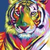 Colorful Tiger Paint By Numbers