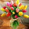 Colorful Tulip Flowers Paint By Numbers