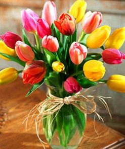 Colorful Tulip Flowers Paint By Numbers