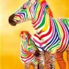 Colorful Zebra Animals Paint By Numbers
