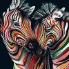 Colorful Zebra Couple Paint By Numbers