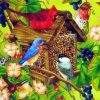 Colourful Birdhouses Paint By Numbers