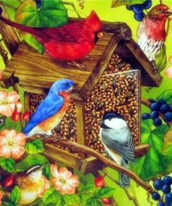 Colourful Birdhouses Paint By Numbers
