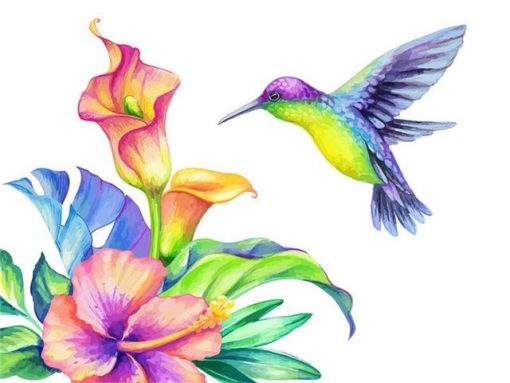 Colourful Hummingbird Paint By Numbers