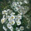 Common Daisy Paint By Numbers