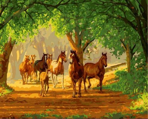 Country Lane Horses Paint By Numbers