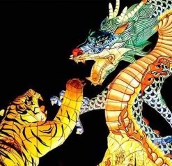 Crouching Tiger Dragon Paint By Numbers