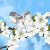 Cute Birds with Flowers Paint By Numbers