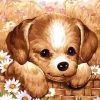 Cute Brown Puppy Paint By Numbers