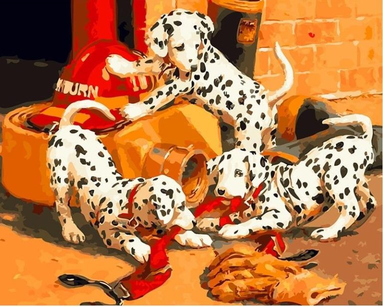 Dalmatian Dog Paint By Numbers